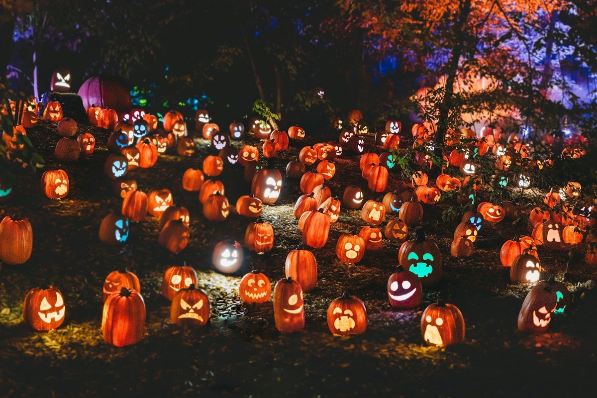 Spooktacular Ways to Give Back: Celebrating Halloween 2026 in Halifax