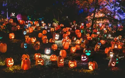 Image à la une pour Spooktacular Ways to Give Back: Celebrating Halloween 2026 in Halifax