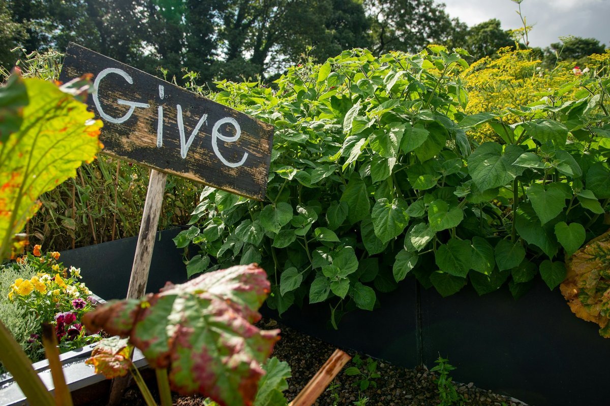 Innovate Today, Nourish Tomorrow: Reimagining Food Security Across Halifax