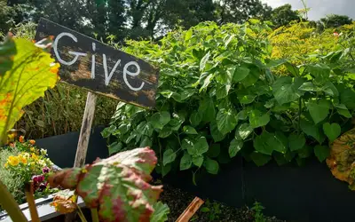 Feature image for Innovate Today, Nourish Tomorrow: Reimagining Food Security Across Halifax
