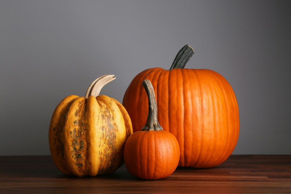 Setting a Wider Table: Meaningful Ways to Give Back This Thanksgiving Across Halifax