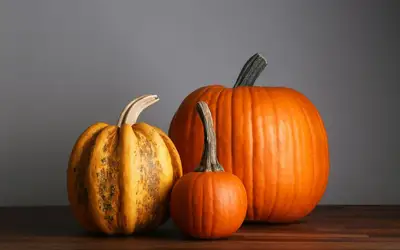 Feature image for Setting a Wider Table: Meaningful Ways to Give Back This Thanksgiving Across Halifax