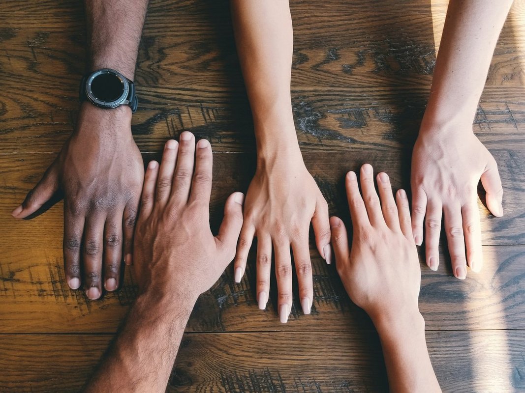 Volunteer Opportunities in Halifax (Jul 27 - Aug 02, 2026)