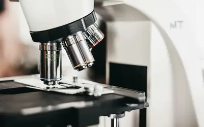 Micro-Volunteering in Halifax: How to Make a Big Difference in Just Minutes