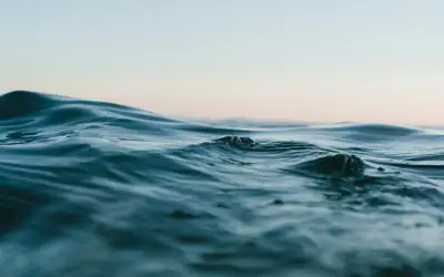 Feature image for Celebrate World Water Day in Halifax!