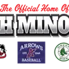 Dartmouth District Minor Baseball Association (DDMBA) logo