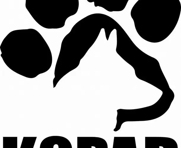 K9 Partner Assistance Dogs