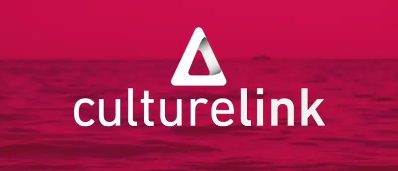 The Culture Link
