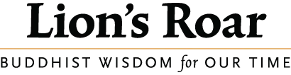 Lion's Roar Foundation