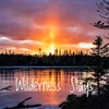 Wilderness Stays Limited logo