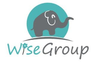 Wise Group Non-Profit Logo