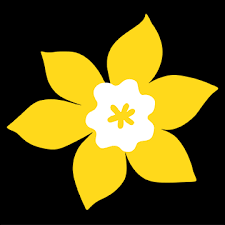 Canadian Cancer Society - Halifax Logo
